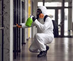 Why You Should Choose Our Mold Remediation Services in Leisure Village West, NJ